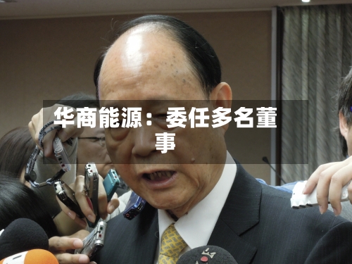 华商能源：委任多名董事-第2张图片