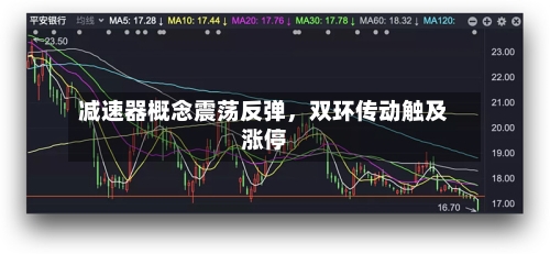 减速器概念震荡反弹，双环传动触及涨停