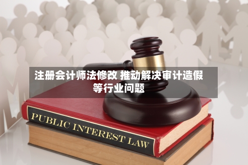 注册会计师法修改 推动解决审计造假等行业问题-第2张图片