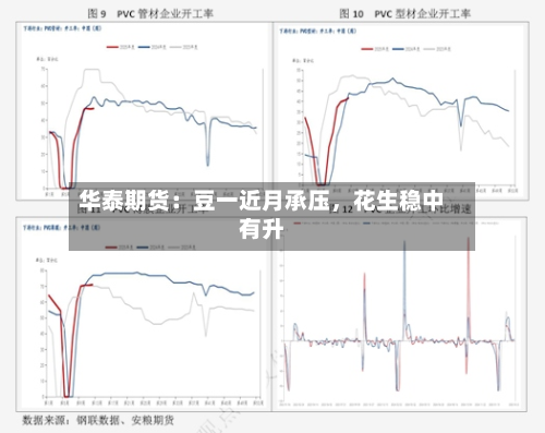 华泰期货：豆一近月承压，花生稳中有升-第2张图片