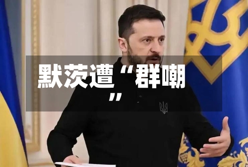 默茨遭“群嘲”-第2张图片