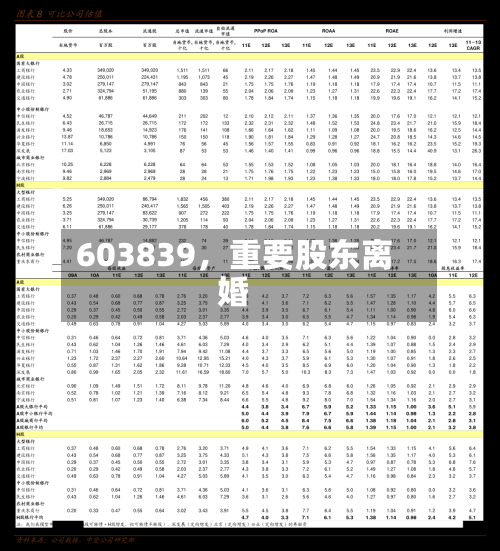 603839，重要股东离婚-第3张图片