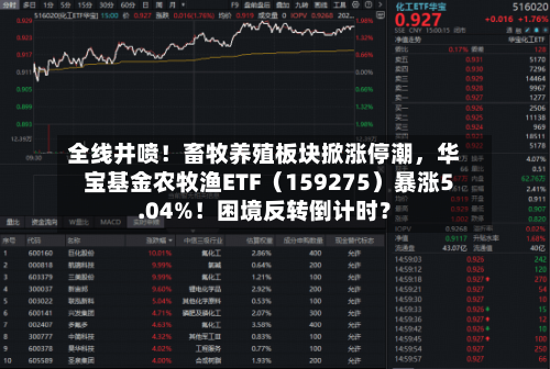 全线井喷!畜牧养殖板块掀涨停潮,华宝基金农牧渔ETF(159275)暴涨5.04%!困境反转倒计时?