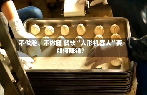 不做脸、不做腿 餐饮“人形机器人”要如何赚钱？-第3张图片