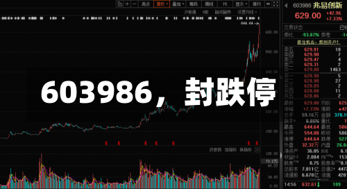 603986,封跌停