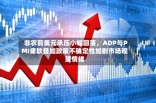 非农前美元承压小幅回落	，ADP与PMI疲软叠加政策不确定性加剧市场观望情绪-第3张图片