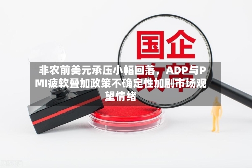 非农前美元承压小幅回落，ADP与PMI疲软叠加政策不确定性加剧市场观望情绪-第2张图片