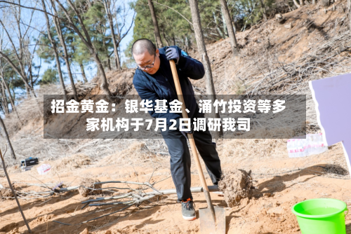 招金黄金：银华基金、涌竹投资等多家机构于7月2日调研我司-第2张图片