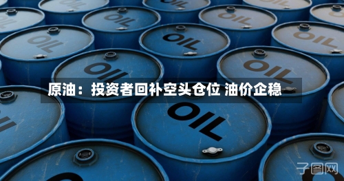 原油:投资者回补空头仓位 油价企稳