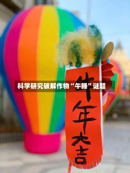 科学研究破解作物“午睡”谜题-第2张图片