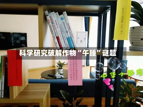 科学研究破解作物“午睡”谜题-第3张图片
