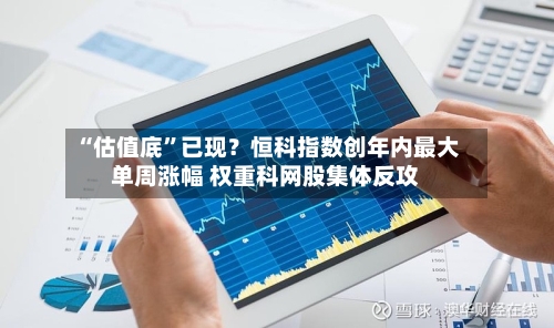 “估值底”已现？恒科指数创年内最大单周涨幅 权重科网股集体反攻-第2张图片