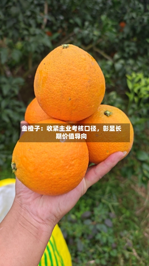 金橙子：收紧主业考核口径，彰显长期价值导向-第2张图片