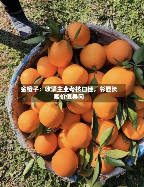 金橙子：收紧主业考核口径，彰显长期价值导向-第3张图片