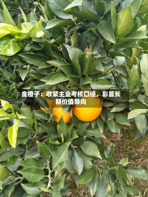 金橙子:收紧主业考核口径,彰显长期价值导向