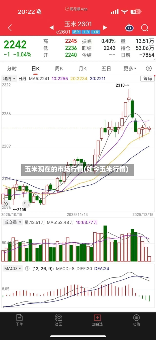 玉米现在的市场行情(如今玉米行情)-第2张图片