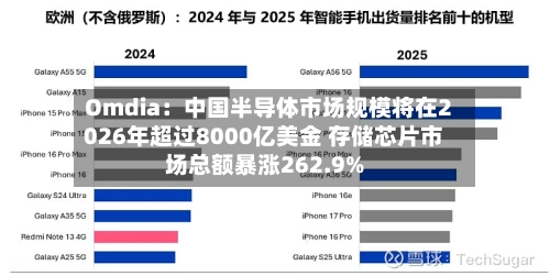 Omdia:中国半导体市场规模将在2026年超过8000亿美金 存储芯片市场总额暴涨262.9%-第2张图片
