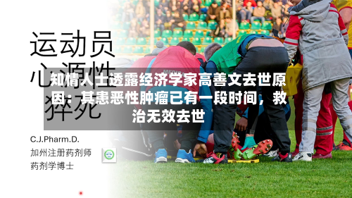 知情人士透露经济学家高善文去世原因：其患恶性肿瘤已有一段时间	，救治无效去世-第2张图片