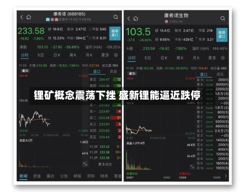 锂矿概念震荡下挫 盛新锂能逼近跌停