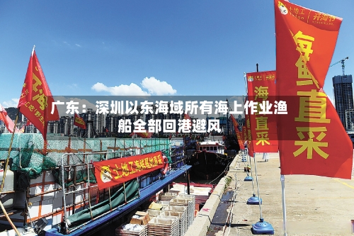 广东：深圳以东海域所有海上作业渔船全部回港避风-第2张图片